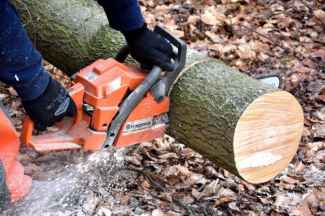 gas vs electric chainsaw